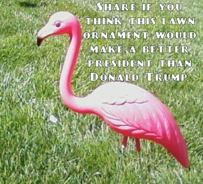 Photo of pink flamingo lawn ornament in yard. Text says, "Share if you think this lawn ornament would make a better president than Donald Trump.