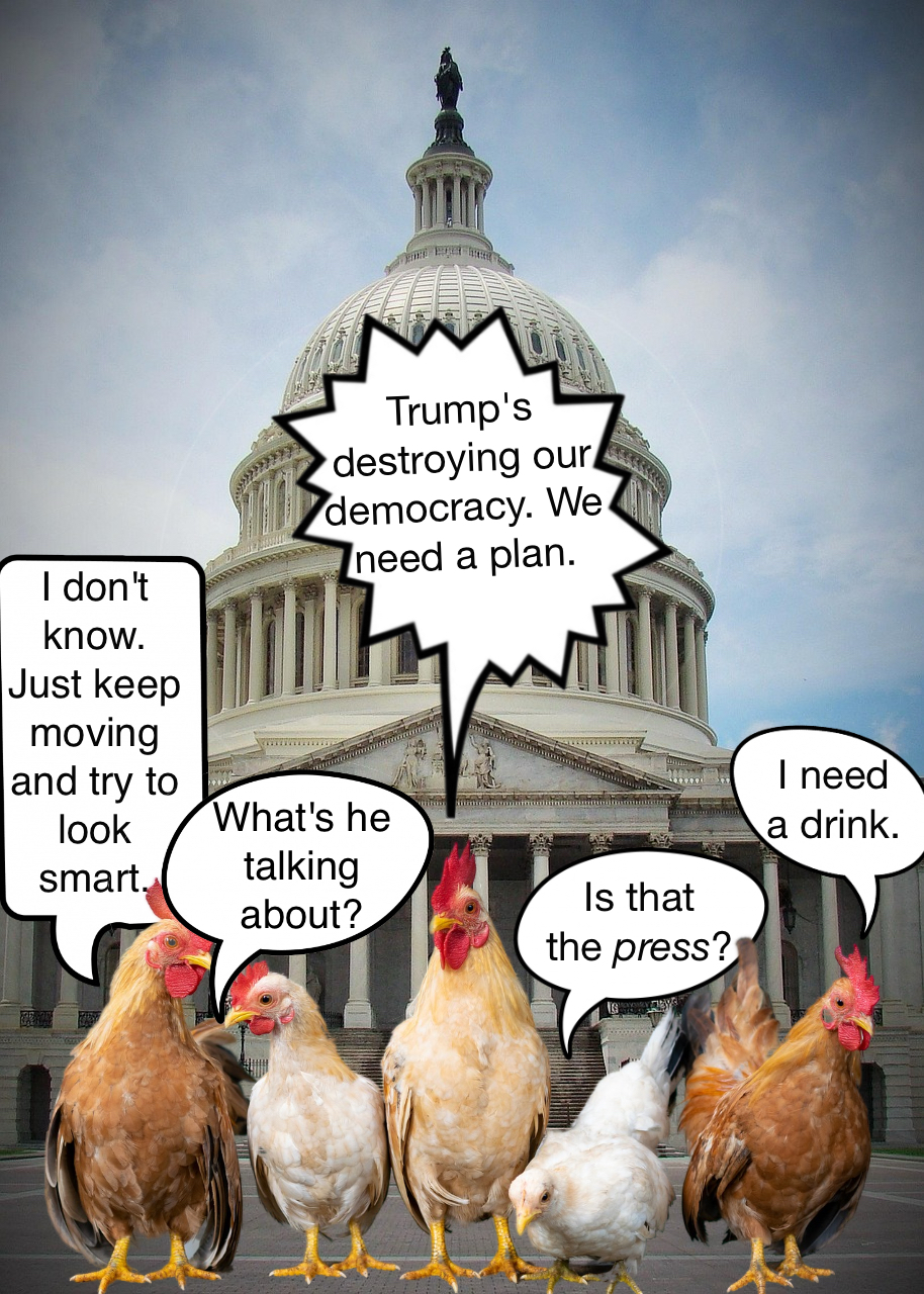 Viral Letter to Democrats 2025